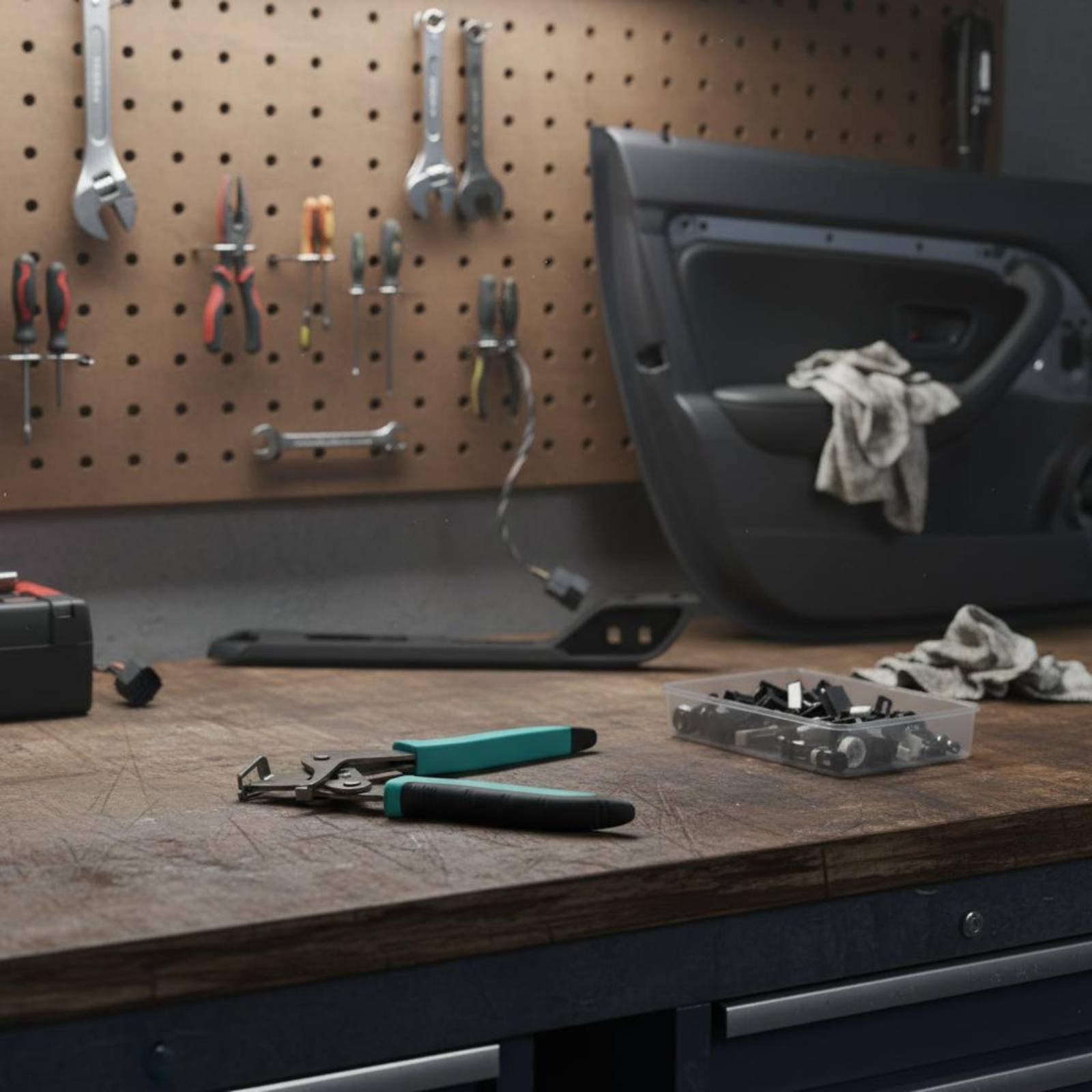 Auto-Clip-Entferner, Professio – Pliers Bewertung und Preis